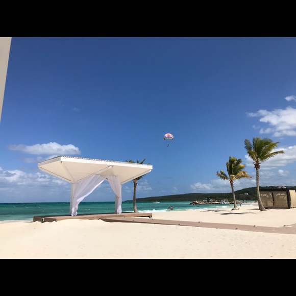 Meet your Posher, Althea - Picture 1 of 1